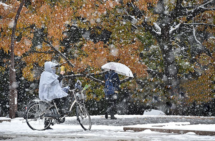 tokyo-first-snow-november-2016-16-58380555dbe51__700