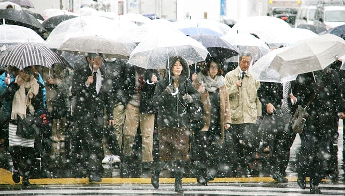 tokyo-first-snow-november-2016-30-58380c11ab9a6__700