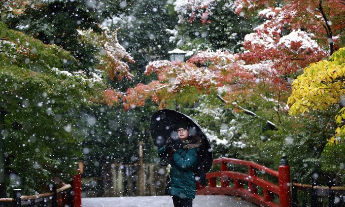 tokyo-first-snow-november-2016-1-5837fde77cae4__700
