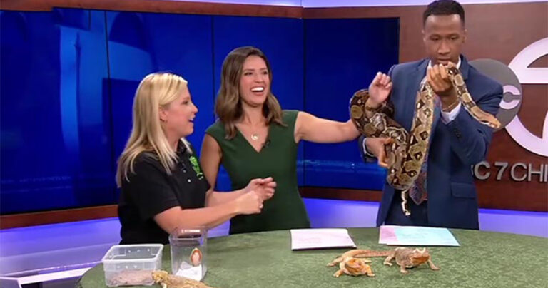 Τα μεγαλύτερα τηλεοπτικά Fails του Οκτωβρίου 2016!