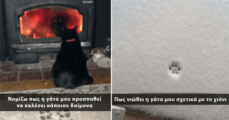 10 γάτες που κάνουν τα δικά τους και γι’ αυτό τις αγαπάμε!