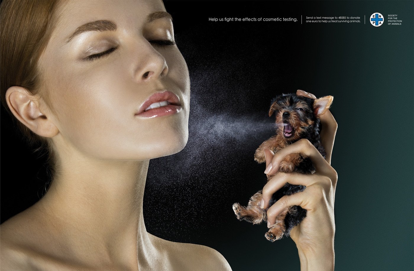 animal-testing