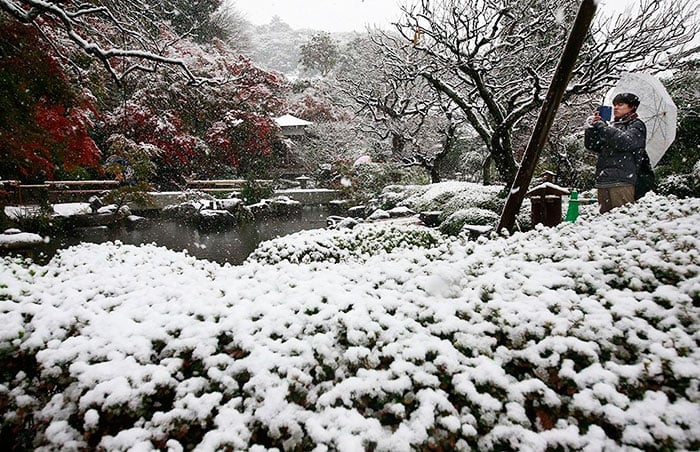 tokyo-first-snow-november-2016-24-583808a912c8c__700