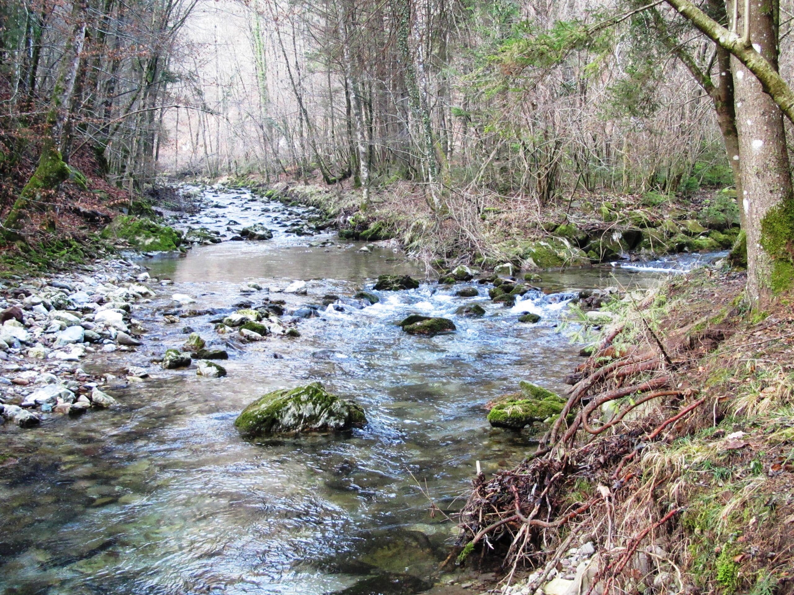 confluence_of_the_big_bozna_and_little_bozna_rivers_-_polhov_gradec_slovenia