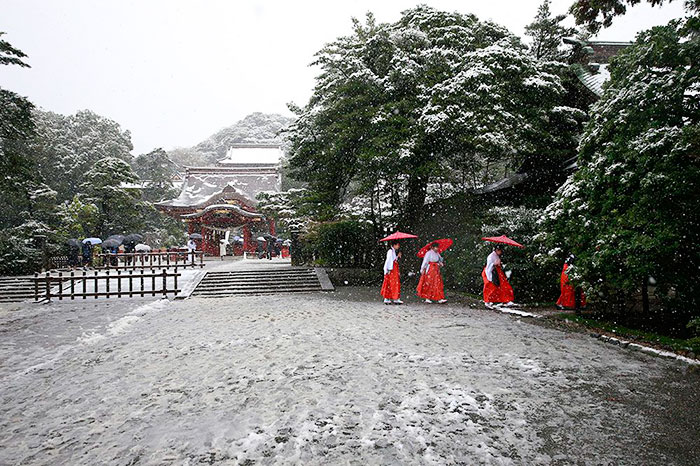 tokyo-first-snow-november-2016-21-583807a7c39b1__700