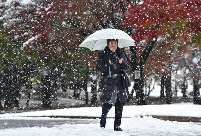 tokyo-first-snow-november-2016-15-583803f72af34__700