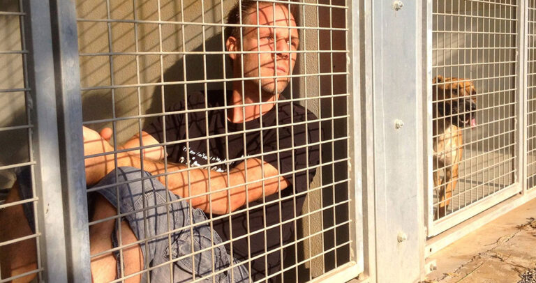 Θα παραμείνει κλεισμένος σε κλουβί μέχρι να υιοθετηθούν 300 σκύλοι.