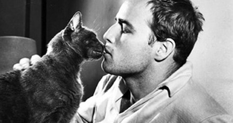 Σίγκμουντ Φρόυντ: Ο χρόνος που περνάς με τις γάτες δεν πάει ποτέ χαμένος