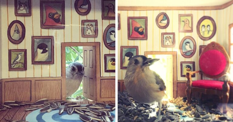 Έχτισε ένα υπέροχο μικροσκοπικό σπιτάκι για το πουλί της.