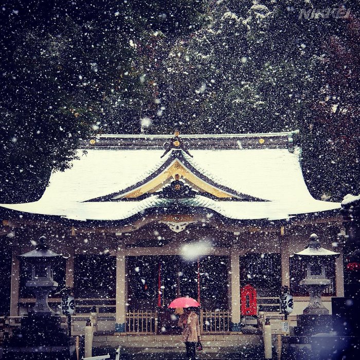 tokyo-first-snow-november-2016-6-5837fdf3bfa11__700