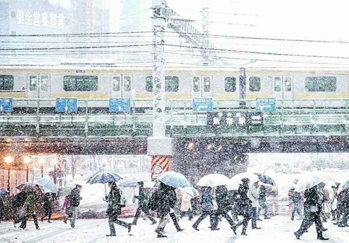 tokyo-first-snow-november-2016-37-5838122f1adff__700