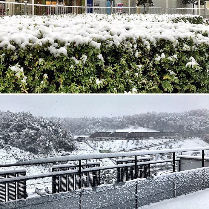 tokyo-first-snow-november-2016-38-5838128286a2d__700
