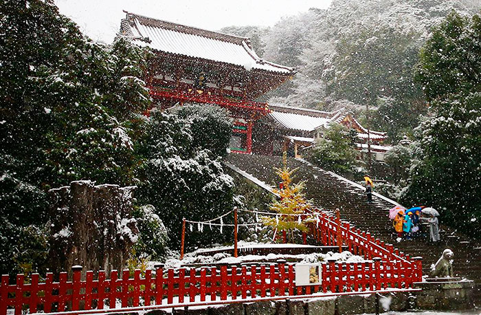 tokyo-first-snow-november-2016-23-58380857792fa__700
