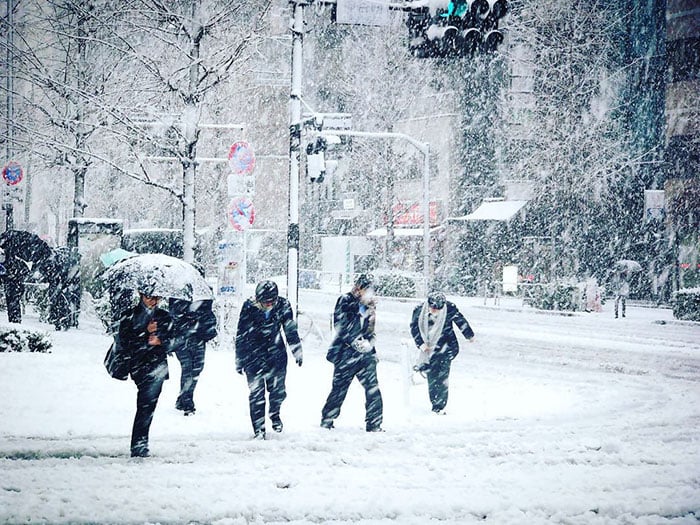 tokyo-first-snow-november-2016-11-5838021e608ed__700