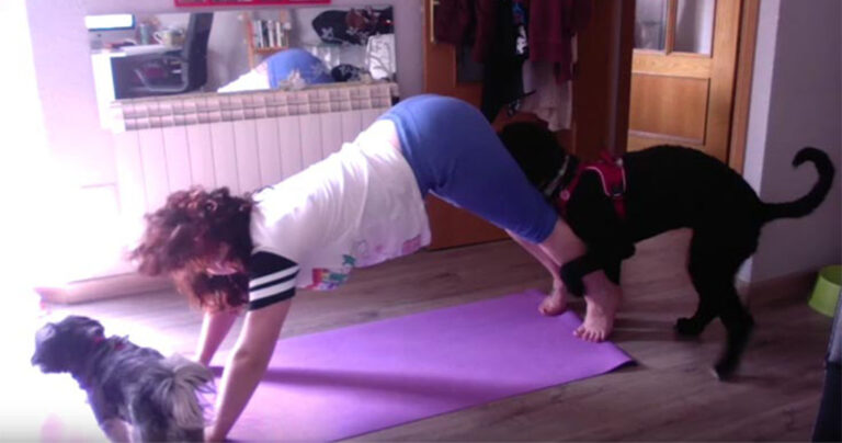 Μία ξεκαρδιστική συλλογή αποτυχημένων στιγμιοτύπων που θα σας φτιάξει τη διάθεση