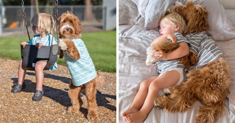 Μια συγκινητική φιλία ανάμεσα σε ένα αγοράκι και τον σκύλο του.