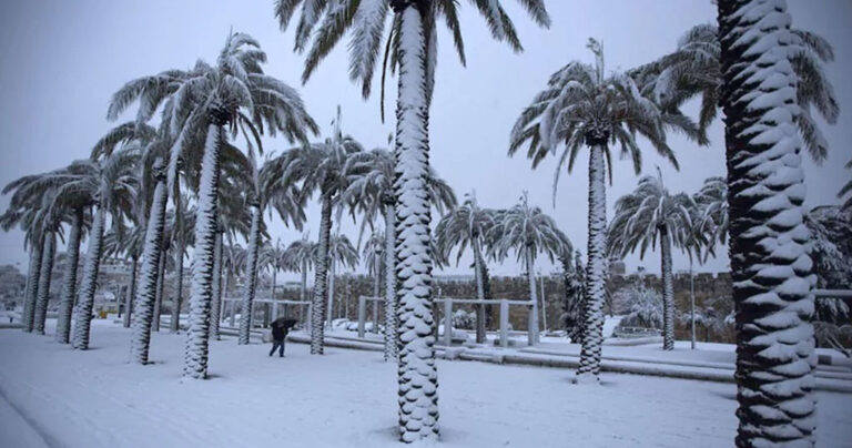 Πρωτοφανής χιονόπτωση στη Σαουδική Αραβία.