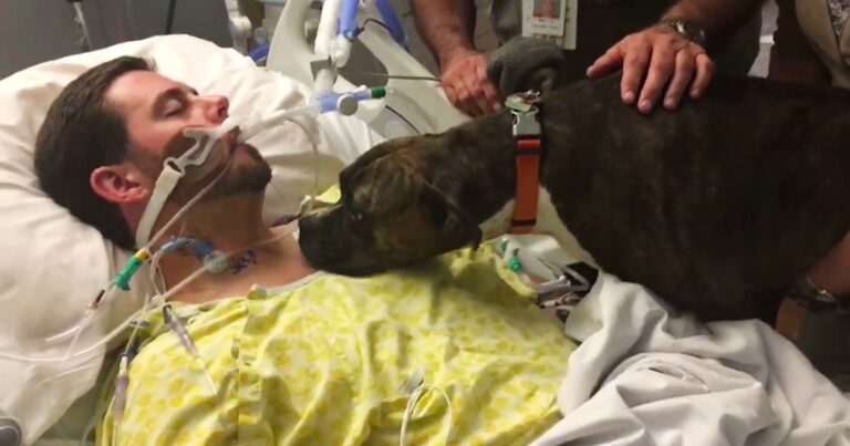 Σκύλος επισκέπτεται το νοσοκομείο για να αποχαιρετήσει το αφεντικό του.