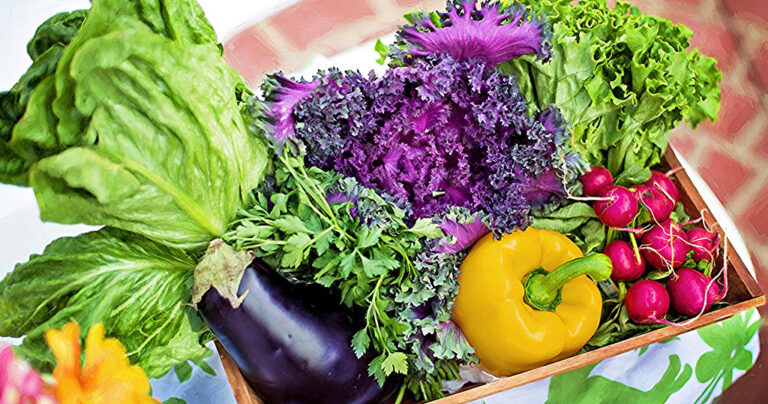 Η θεωρία των 4 γεύσεων – Γλυκό, πικρό, αλμυρό, ξινό.