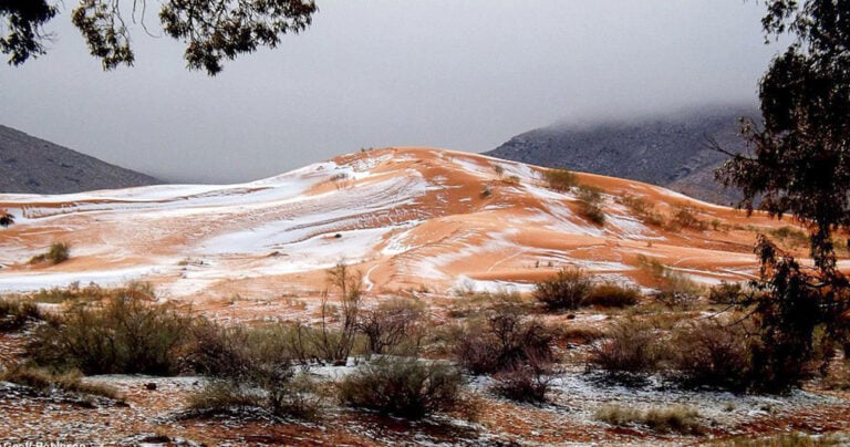 Χιόνισε στη Σαχάρα μετά από 37 χρόνια!