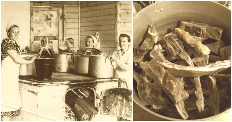 11 χρήσιμα πράγματα που μας έμαθαν οι γιαγιάδες μας να μην πετάμε ποτέ