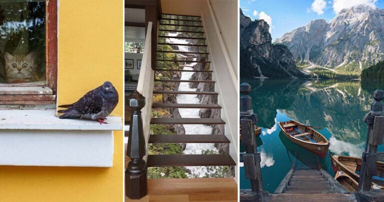 18 από τις πιο ενδιαφέρουσες φωτογραφίες της εβδομάδας που μας πέρασε