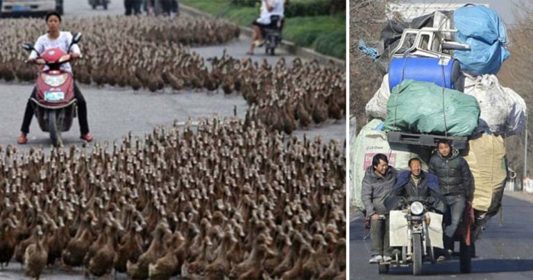 25 καταστάσεις που βλέπει κανείς μόνο στους δρόμους της Κίνας!