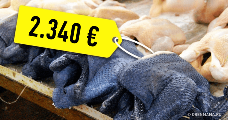 Έτσι μοιάζουν τα πιο ακριβά φαγητά του κόσμου