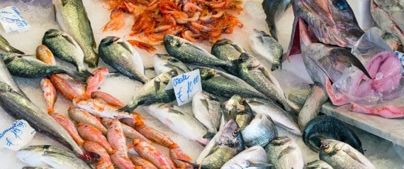 perierga.gr - Fish Guide: Πόσο καλά γνωρίζετε τα ελληνικά ψαρικά; perierga.gr - Fish Guide: Πόσο καλά γνωρίζετε τα ελληνικά ψαρικά;