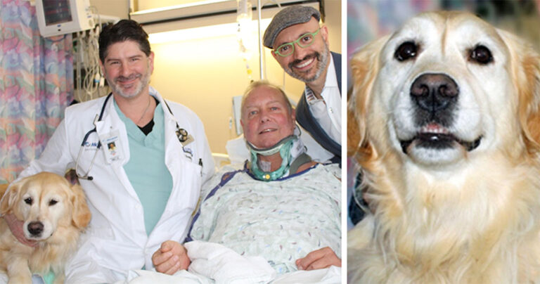 Σκύλος σώζει το αφεντικό του που έσπασε τον αυχένα του και αργοπέθαινε στο κρύο.