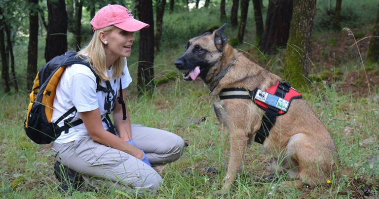 Αυτός είναι ο πρώτος σκύλος «ντετέκτιβ» στην Ελλάδα που σώζει άλλα ζώα από φόλες