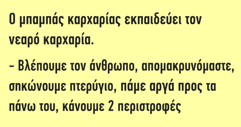 Ο μπαμπάς καρχαρίας εκπαιδεύει τον νεαρό καρχαρία