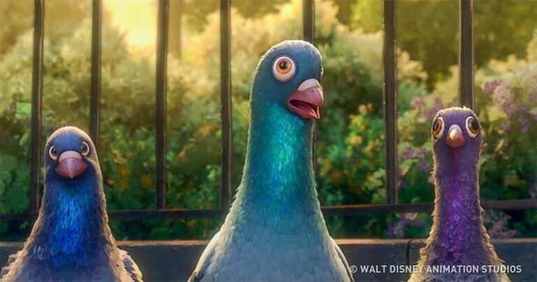 Το μυστικό αποκαλύφθηκε: Να γιατί δεν βλέπουμε ποτέ μικρά περιστέρια.