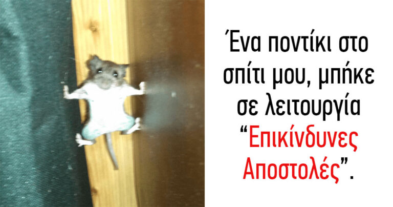 40 από τις πιο αστείες γκάφες ζώων που έχετε δει ποτέ