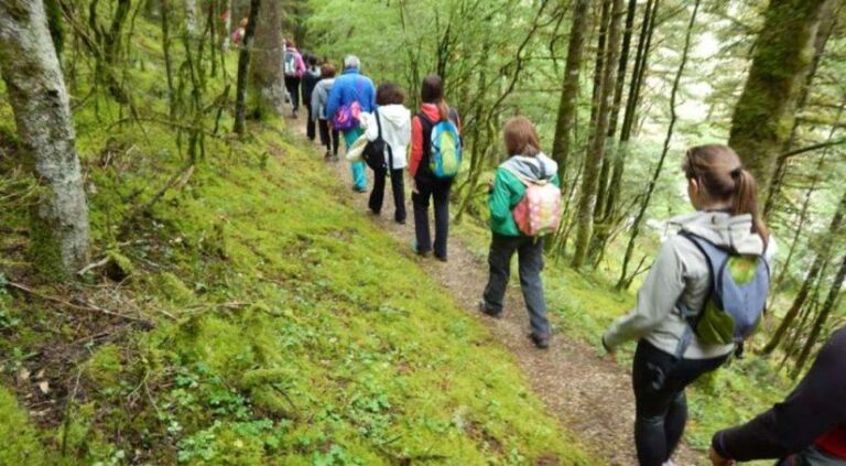 Οι γιατροί μας εξηγούν πως η πεζοπορία μπορεί να αλλάξει τον εγκέφαλο μας