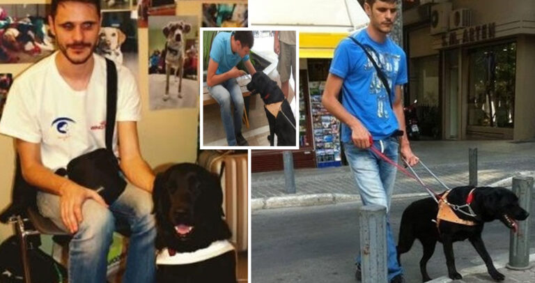 Έριξαν φόλα σε σκύλο που ήταν οδηγός τυφλού ανθρώπου στον Μαραθώνα Αττικής