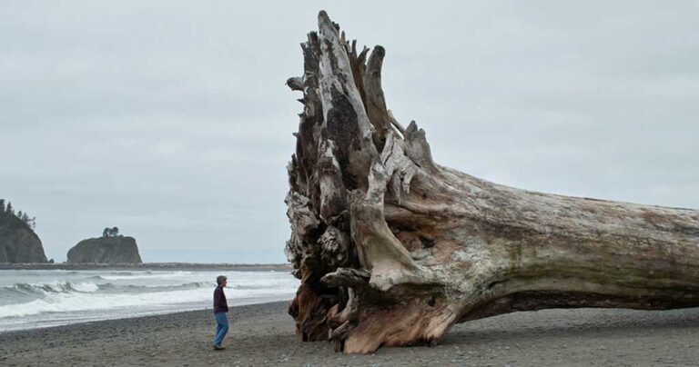 18 φωτογραφίες που μας κάνουν και νιώθουμε τόσο μικροσκοπικοί