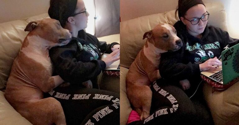 Υιοθετημένος σκύλος δεν μπορεί να σταματήσει να αγκαλιάζει την γυναίκα που τον έσωσε