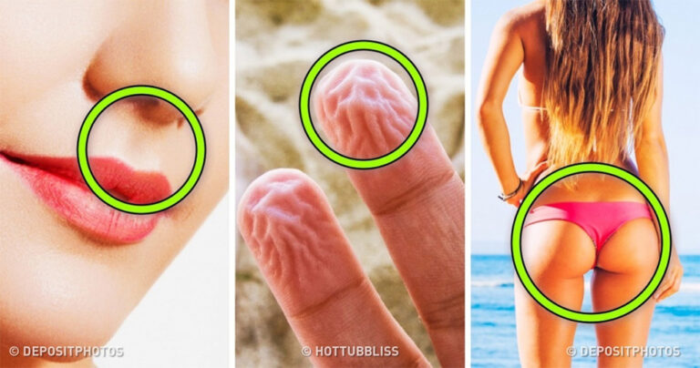 25 παράξενα γεγονότα που δύσκολα θα πιστέψετε πως είναι απολύτως αληθινά