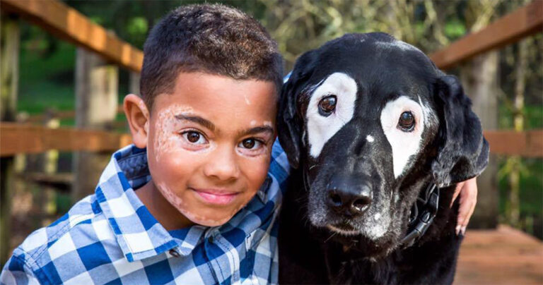 Αγόρι μισούσε τη δερματική του ασθένεια μέχρι που συνάντησε αυτόν τον σκύλο με την ίδια πάθηση