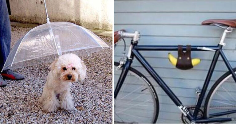 10 ιδέες προϊόντων που θα λατρέψετε ή θα μισήσετε