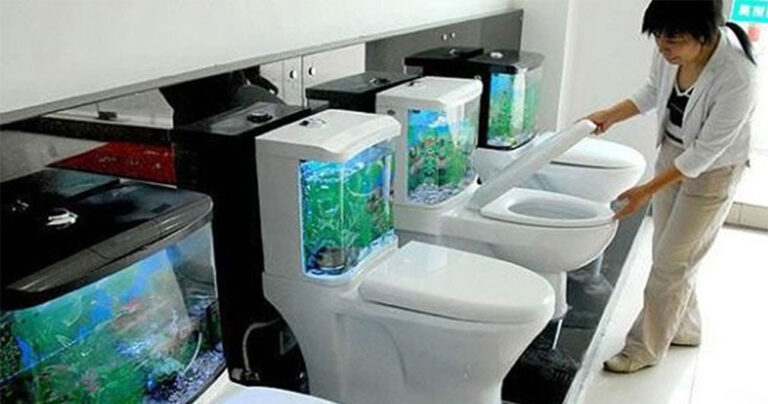 21 παράξενες τουαλέτες που θα σας κάνουν να απορήσετε