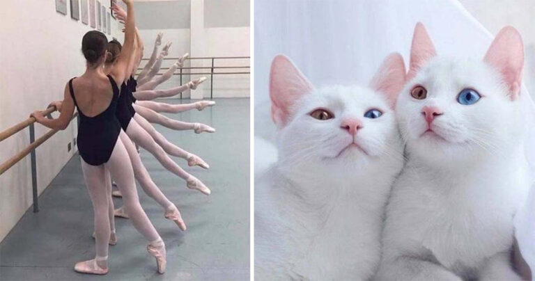 Κάτι παραπάνω από απλές φωτογραφίες που σίγουρα θα σας εντυπωσιάσουν