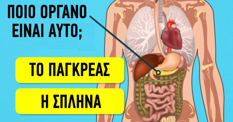 TEΣΤ: Πόσο καλά γνωρίζετε το ίδιο σας το σώμα;