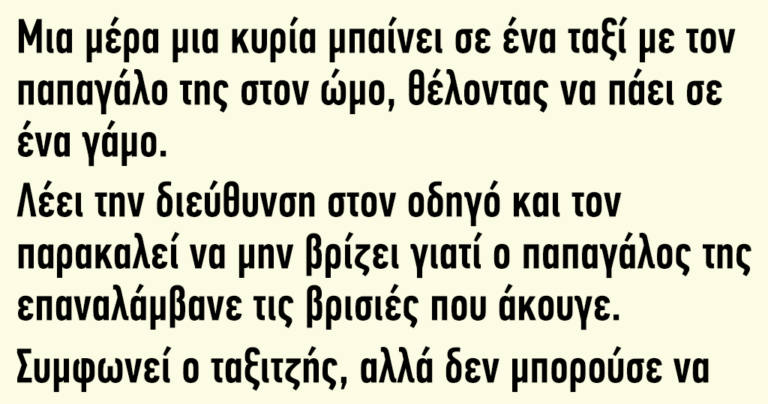 Μια μέρα μια κυρία μπαίνει σε ένα ταξί με τον παπαγάλο της στον ώμο
