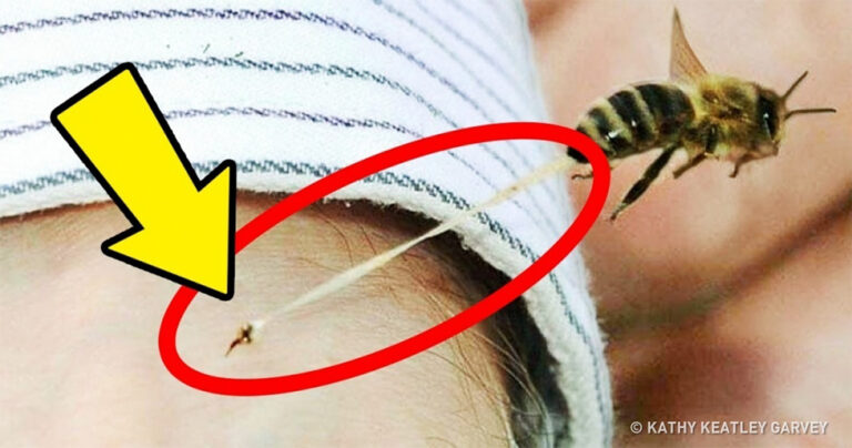 25 γεγονότα που δεν γνωρίζατε ότι είναι απoλύτως αληθινά