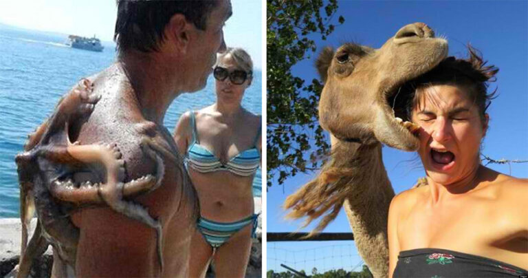 40 απίστευτες στιγμές με ζώα ακριβώς τη στιγμή πριν την καταστροφή 40 απίστευτες στιγμές με ζώα ακριβώς τη στιγμή πριν την καταστροφή