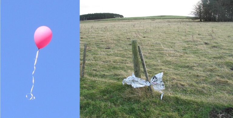Ο τρομακτικός λόγος που δεν πρέπει ποτέ να αφήνετε τα μπαλόνια ελεύθερα στον ουρανό