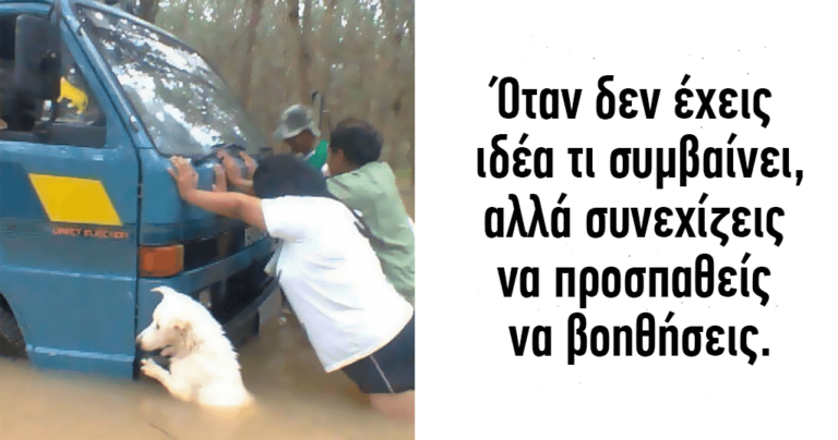 30 χαριτωμένες στιγμές ζώων που θα σας φτιάξουν σίγουρα τη διάθεση