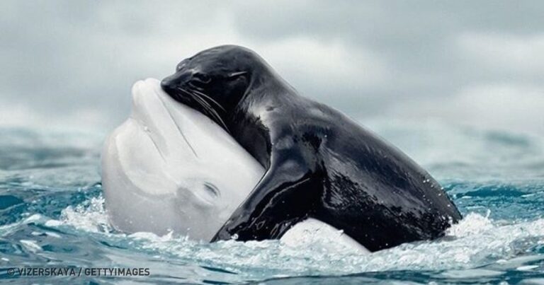 20 φωτογραφίες τόσο εντυπωσιακές που τα λόγια δύσκολα τις περιγράφουν